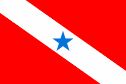 Imagem Bandeira PA